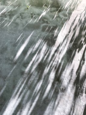 grunge duvar arkaplanındaki ağaç gölgeleri metin için boşluk ile