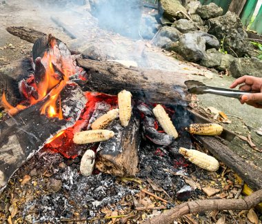 Kömürün üstünde mısır, piknik konsepti..