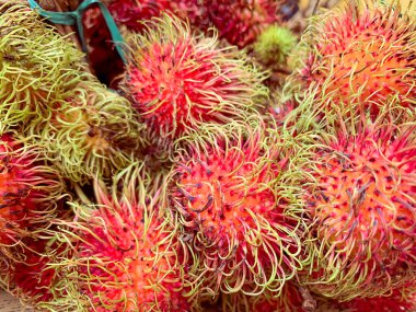 Bir yığın Rambutan meyvesi, tropikal meyve.