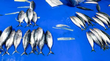 Balık pazarında balık