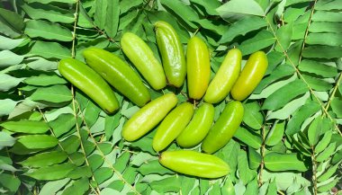 Taze hasat edilmiş averrhoa bilimbi ya da yeşillik arkaplan inancı.