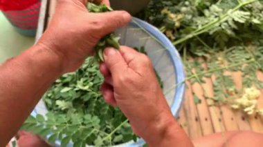 Sabah yaprağını sapıyla ayır.