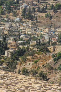 Tarihi bir Orta Doğu şehir manzarasını yansıtan manzaralı bir manzara, canlı yeşillikle berrak bir gökyüzü altında mimari mirası ve kültürel simgeleri sergiliyor..