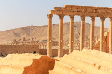 Ön plandaki antik sütunları ve kurak arazideki tarihi kuleleri vurgulayan manzaralı bir manzara.
