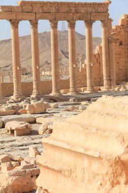 Ön plandaki antik sütunları ve kurak arazideki tarihi kuleleri vurgulayan manzaralı bir manzara.