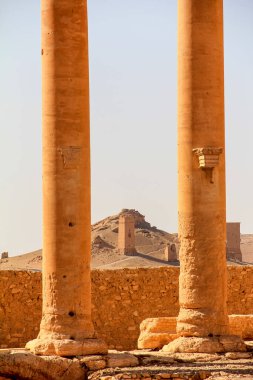 Ön plandaki antik sütunları ve kurak arazideki tarihi kuleleri vurgulayan manzaralı bir manzara.