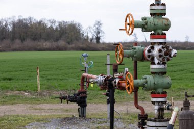 Kapakçıklı gaz çıkarma makineleri yemyeşil bir alanda duruyor ve arka planda bir ağaç çizgisi var. Bu da doğal ortama entegre edilmiş bir endüstriyel konumu gösteriyor..