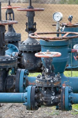 Kapakçıklı gaz çıkarma makineleri yemyeşil bir alanda duruyor ve arka planda bir ağaç çizgisi var. Bu da doğal ortama entegre edilmiş bir endüstriyel konumu gösteriyor..