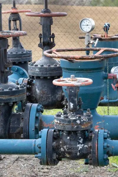 Kapakçıklı gaz çıkarma makineleri yemyeşil bir alanda duruyor ve arka planda bir ağaç çizgisi var. Bu da doğal ortama entegre edilmiş bir endüstriyel konumu gösteriyor..