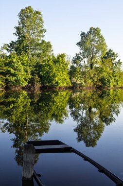 Sakin bir nehir manzarası ve canlı yeşil ağaçlar, suyun ayna benzeri yüzeyine yansıyor. Eski bir ahşap tekne bu huzurlu doğa manzarasına kırsal bir cazibe katıyor..