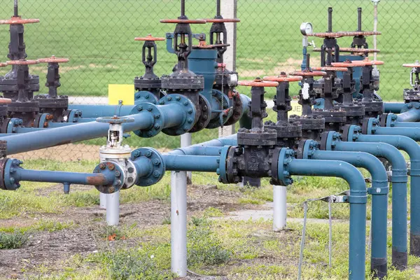 Kapakçıklı gaz çıkarma makineleri yemyeşil bir alanda duruyor ve arka planda bir ağaç çizgisi var. Bu da doğal ortama entegre edilmiş bir endüstriyel konumu gösteriyor..