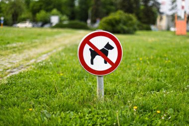 Açık havada canlı yeşil bir çimenlikte köpekleri yasaklayan dairesel kırmızı ve beyaz bir tabela sergilenir..