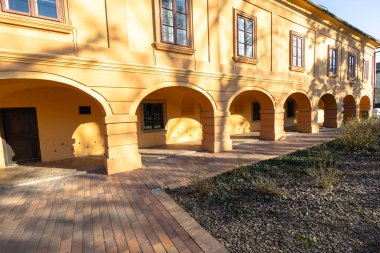 VELIKA GORİKA, CROATIA, 03.18.2025: Canlı sarı duvarları olan tarihi bir bina, açık mavi gökyüzünün altında, karmaşık örülmüş süslemelerle süslenmiş bir ağaç tarafından güzel çerçevelenmiştir..