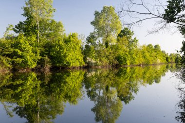 Sakin bir nehir manzarası ve canlı yeşil ağaçlar, suyun ayna benzeri yüzeyine yansıyor. Eski bir ahşap tekne bu huzurlu doğa manzarasına kırsal bir cazibe katıyor..
