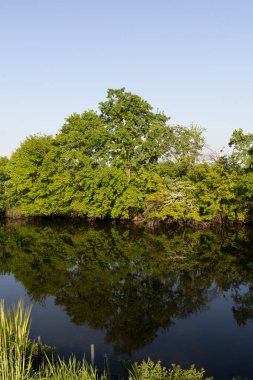 Sakin bir nehir manzarası ve canlı yeşil ağaçlar, suyun ayna benzeri yüzeyine yansıyor. Eski bir ahşap tekne bu huzurlu doğa manzarasına kırsal bir cazibe katıyor..