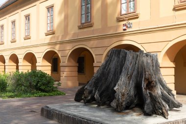 NOVA GORICA, CROATIA, 03.18.2020: Büyük cam pencereler, dokulu duvarlar ve parlak güneş ışığı gösteren zarif tarihi bina. Klasik mimari detaylar ve sıcak bir atmosfer, şehir içinde tarihi ve kültürü sembolize ediyor.