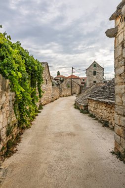 A tranquil path winds through a stone village, lined by ivy-covered walls and traditional stone houses. Overcast skies lend a timeless, rustic atmosphere, perfect for heritage or travel visuals.
