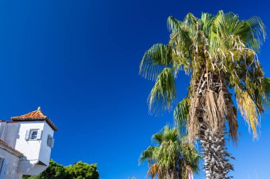 Terracotta çatı kiremitleri, canlı mavi gökyüzü ve gür palmiye ağaçları olan beyaz taştan bir binanın olduğu Parlak Akdeniz manzarası. Seyahat, mimarlık ve yaşam tarzı stokları için ideal güneşli, kıyı atmosferleri.