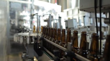 Bira fabrikası taşıyıcı hatlarda cam şişelere bira döküyor.