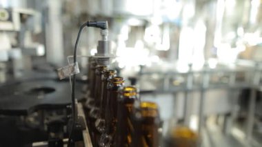 Bira fabrikası taşıyıcı hatlarda cam şişelere bira döküyor.