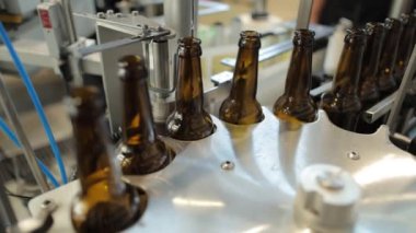 Bira fabrikası taşıyıcı hatlarda cam şişelere bira döküyor.