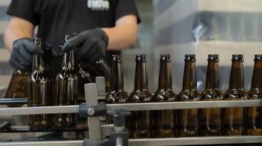 Bira fabrikası taşıyıcı hatlarda cam şişelere bira döküyor..