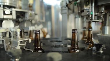 Bira fabrikası taşıyıcı hatlarda cam şişelere bira döküyor..