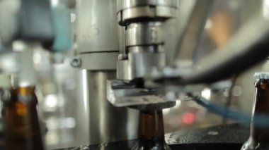 Bira fabrikası taşıyıcı hatlarda cam şişelere bira döküyor..