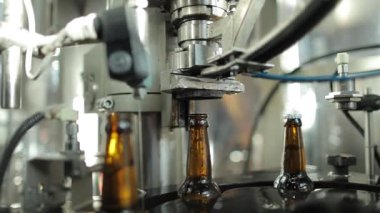 Bira fabrikası taşıyıcı hatlarda cam şişelere bira döküyor..