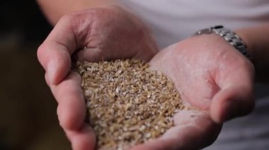 Elinde malt tohumu tutan adam.