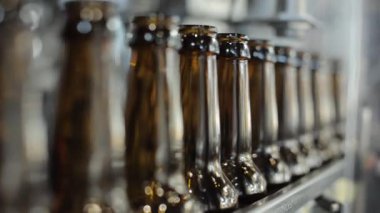 Bira şişeleri modern bir bira fabrikasında üretim hattında.
