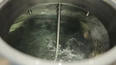 Bira fabrikasında bira tankını dolduran arpa tohumu.