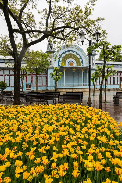 PYATIGORSK, RUSSIA - Mayıs 06, 2022: Pyatigorsk 'taki şehir parkının manzarası, Rusya' nın Stavropol bölgesindeki tatil köyü