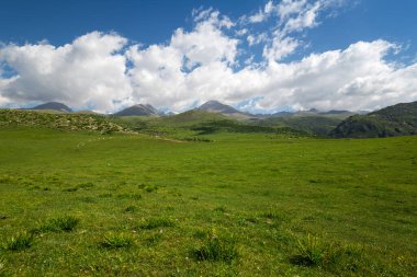 Kırgızistan 'daki Tianshan Dağları' nın panoramik manzarası