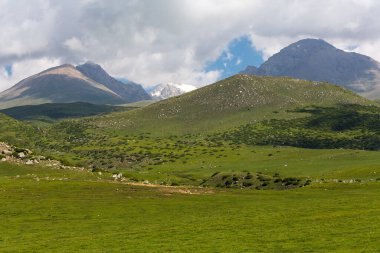 Kırgızistan, Orta Asya 'daki Tianshan Dağlarının panoramik manzarası