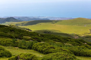 Kırgızistan, Orta Asya 'daki Tianshan Dağlarının panoramik manzarası