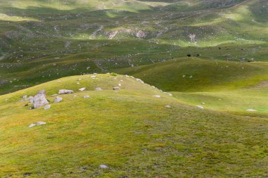 Kırgızistan, Orta Asya 'daki Tianshan Dağlarının panoramik manzarası