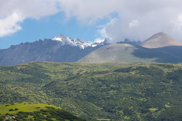 Kırgızistan, Orta Asya 'daki Tianshan Dağlarının panoramik manzarası