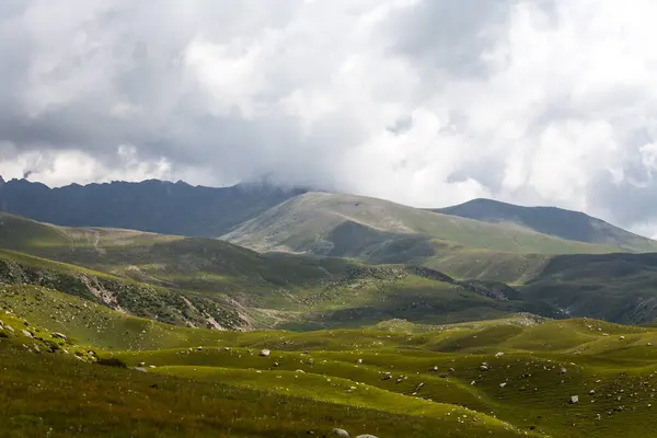 Kırgızistan, Orta Asya 'daki Tianshan Dağlarının panoramik manzarası