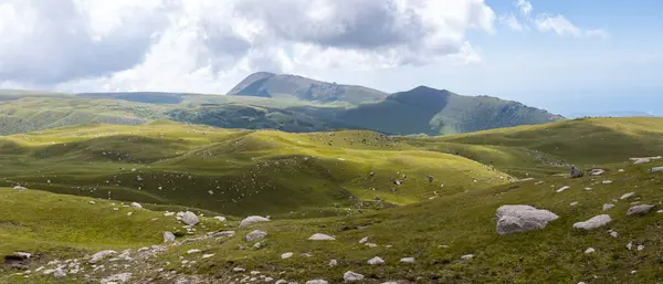 Kırgızistan, Orta Asya 'daki Tianshan Dağlarının panoramik manzarası