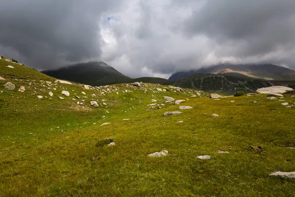 Kırgızistan, Orta Asya 'daki Tianshan Dağlarının panoramik manzarası