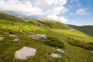 Kırgızistan, Orta Asya 'daki Tianshan Dağlarının panoramik manzarası
