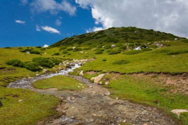 Kırgızistan, Orta Asya 'daki Tianshan Dağlarının panoramik manzarası