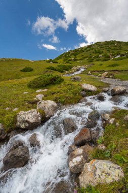 Kırgızistan, Orta Asya 'daki Tianshan Dağları' ndaki nehrin manzarası