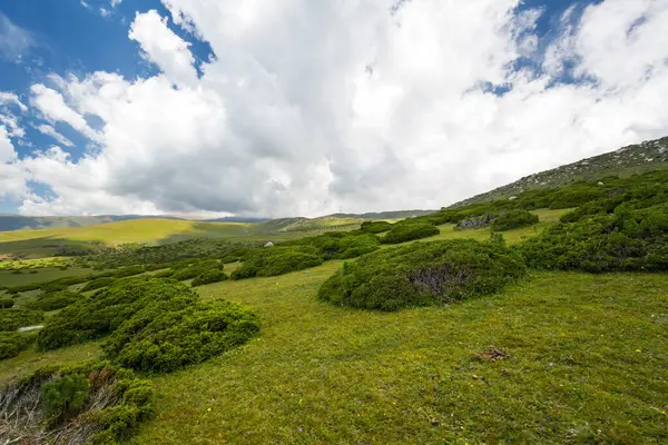 Kırgızistan, Orta Asya 'daki Tianshan Dağlarının panoramik manzarası