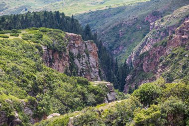 Kırgızistan, Orta Asya 'daki Tianshan Dağlarının panoramik manzarası