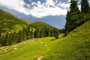 Kırgızistan, Orta Asya 'daki Tianshan Dağlarının panoramik manzarası