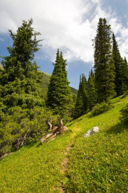 Kırgızistan, Orta Asya 'daki Tianshan Dağlarının panoramik manzarası