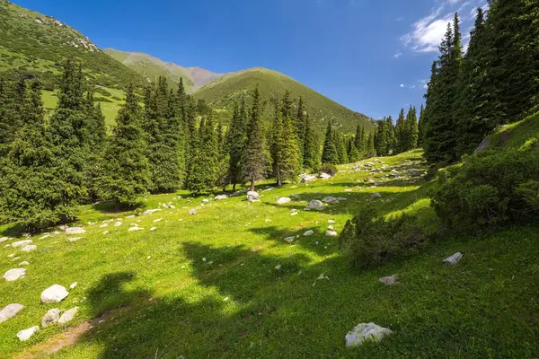 Kırgızistan, Orta Asya 'daki Tianshan Dağlarının panoramik manzarası