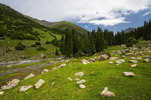 Kırgızistan, Orta Asya 'daki Tianshan Dağlarının panoramik manzarası
